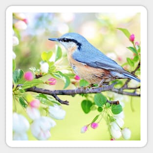 Spring Blue Bird in Watercolor Sticker